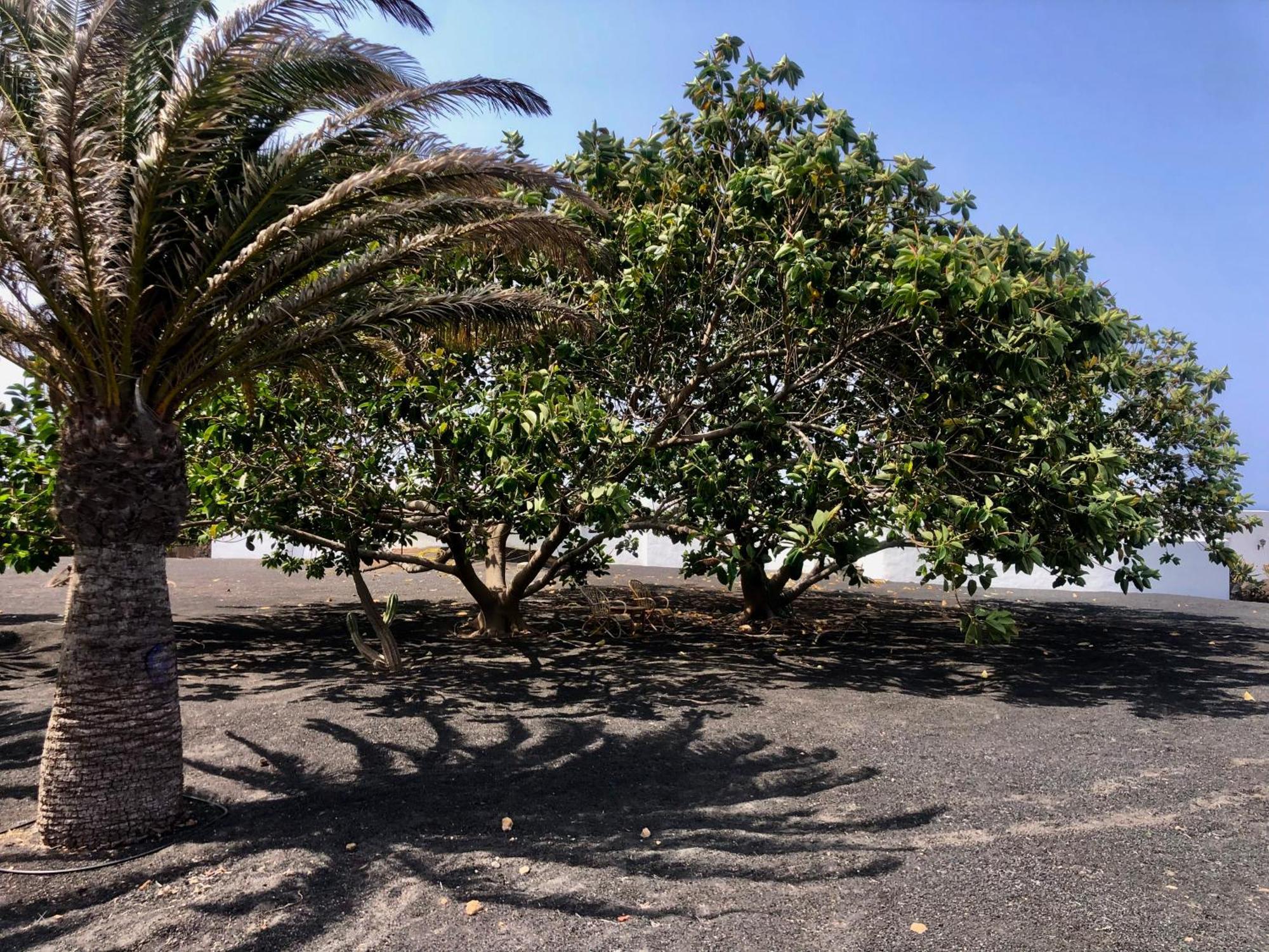 Villa Luciano "Spirit Of The Canaries" Tias Exterior photo